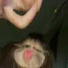 sumojuu_