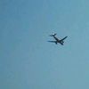 niza_7731