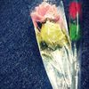 miss.sayha