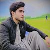 shahab2955