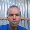 filsan.in.mcalin