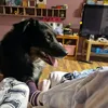 lucy.random.4