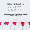 hiam_alsheikh0