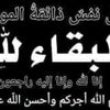 user8166126806304