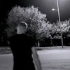 semenov_ivan_07