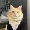 yoshikooooo2
