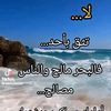 beyaz.iek.elik