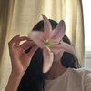 leyla.alzagha8