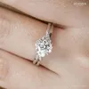 diannong74