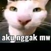 gataw91