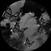 brithny4548