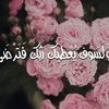 user4087001844032