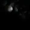 holarquadri002