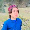 mubark.shahmasaed