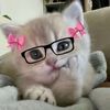 yourfavdareen1