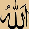 user3811680188671