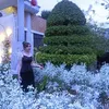 chery.bi.nh