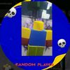 randomrobloxplaye6