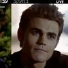 stefan.salvatore880