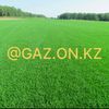 gaz.on.kz