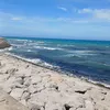 yasminebl