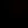 ginopt_13