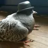 gustavooooo55w