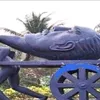 nooraryan579