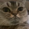 mayar.hmb1