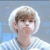 straykidsfan858