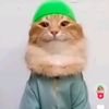 imanlikedi_6