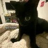 ghxst.fr0