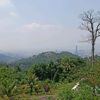 dandan.d5