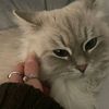 nour_hoblos1