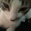 wailer_123