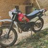sammejia351
