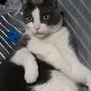 kidsthisisjr