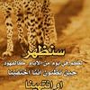 user3813819862061