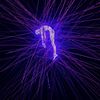 qiemwithq
