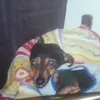 djanira.carvalho6