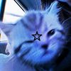 jay1_1422