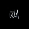 Peaceful Quran