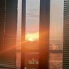 guang_xia