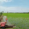 phngtuyn913