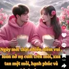 thm.hng869