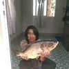 user6169513481800