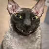 lituchiypahuchii