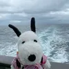 itszme_bridgette