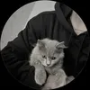 user.hama2129