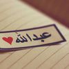 am.abood.14